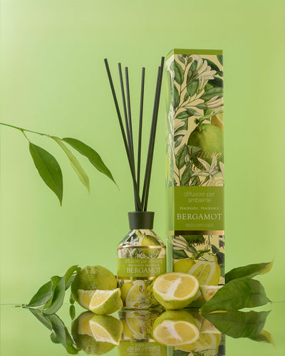 <b>Bundle Casa</b><br>Diffusore + Candela Bergamot<br><i>Nature & Arome</i>